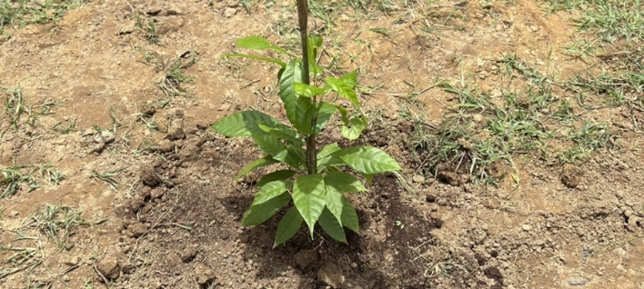 インフラ・設備投資